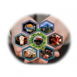 پیام مدیرعامل